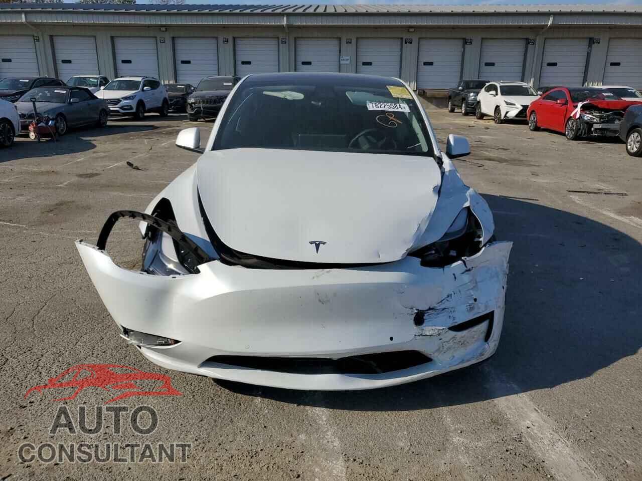 TESLA MODEL Y 2022 - 7SAYGDEF5NF313270