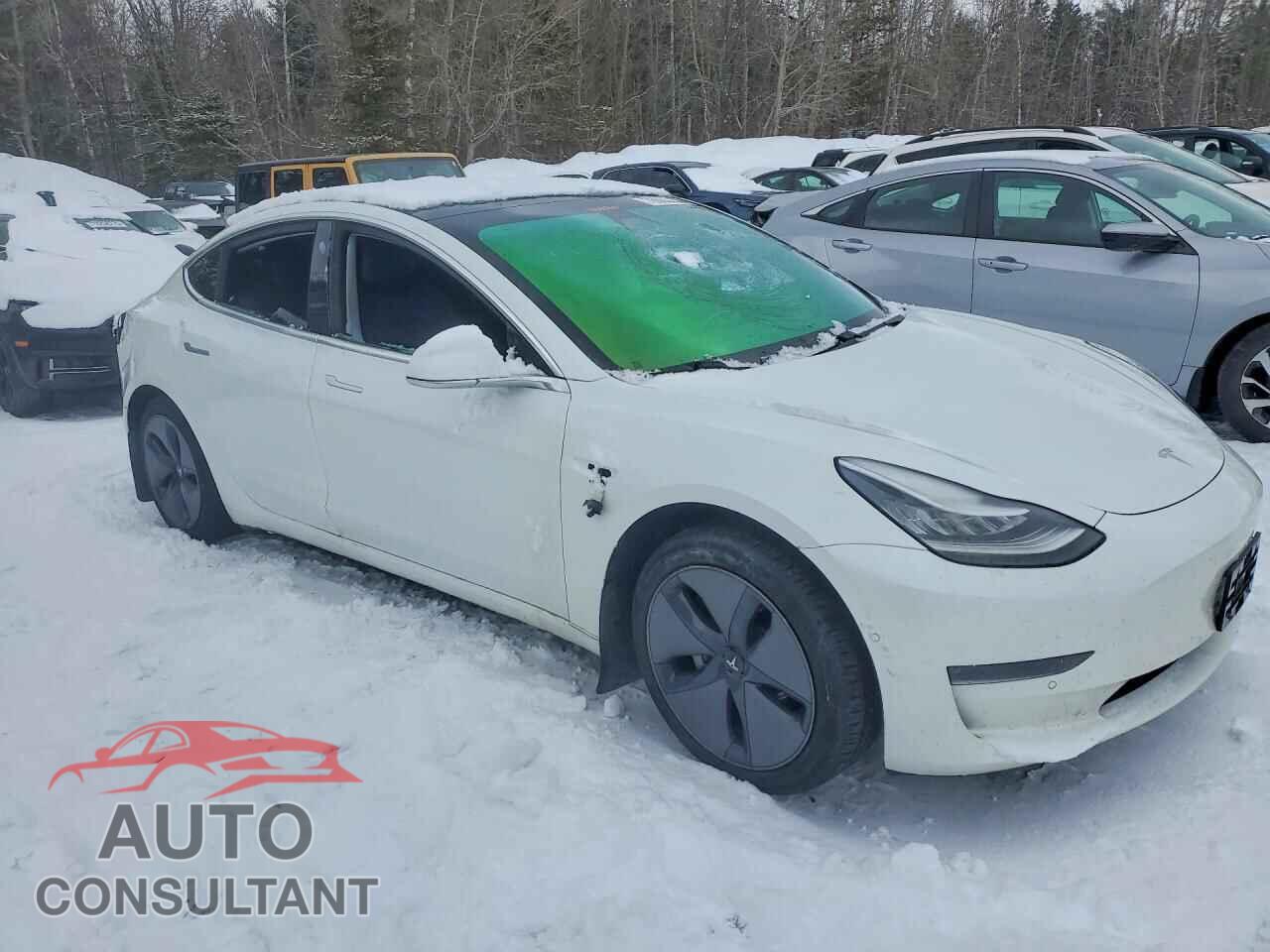 TESLA MODEL 3 2020 - 5YJ3E1EA2LF715809