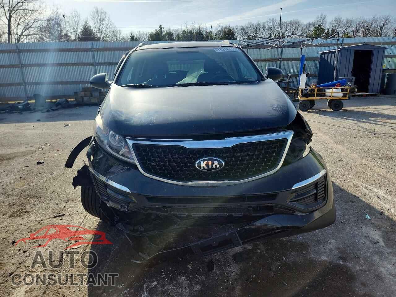 KIA SPORTAGE 2016 - KNDPC3AC4G7860291