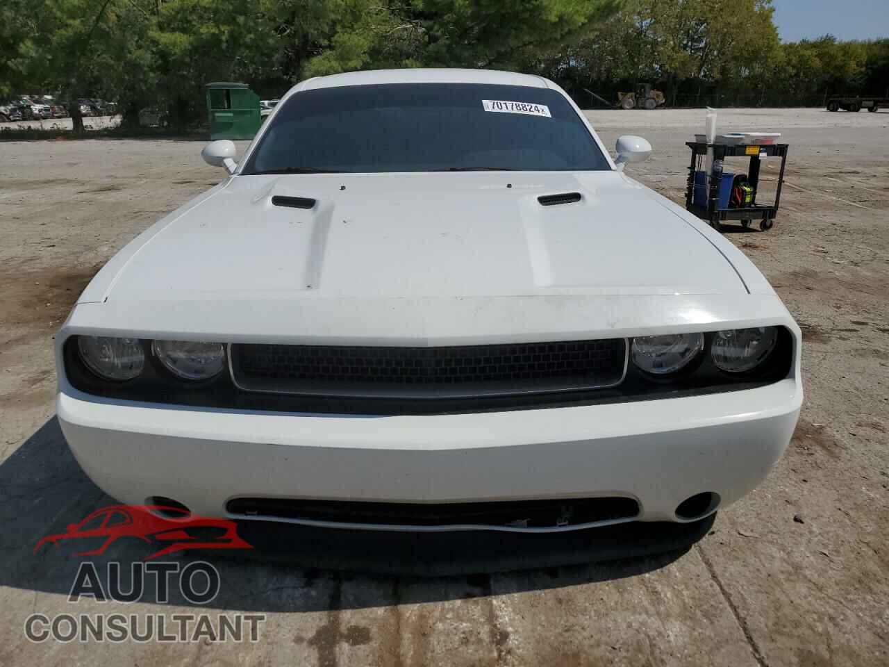 DODGE CHALLENGER 2013 - 2C3CDYAG0DH530910