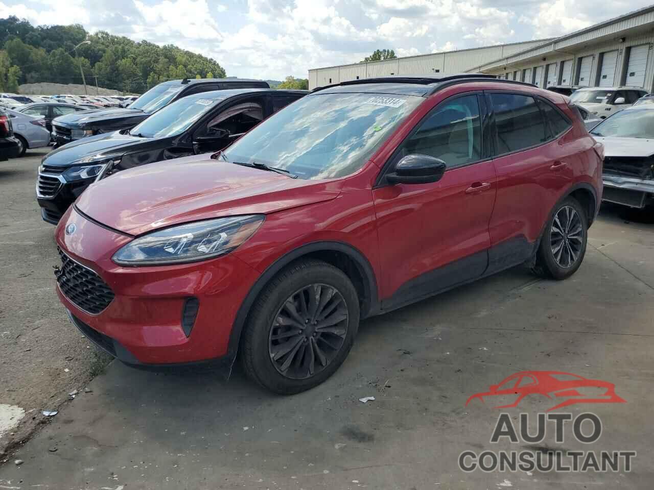 FORD ESCAPE 2022 - 1FMCU9G61NUB55944