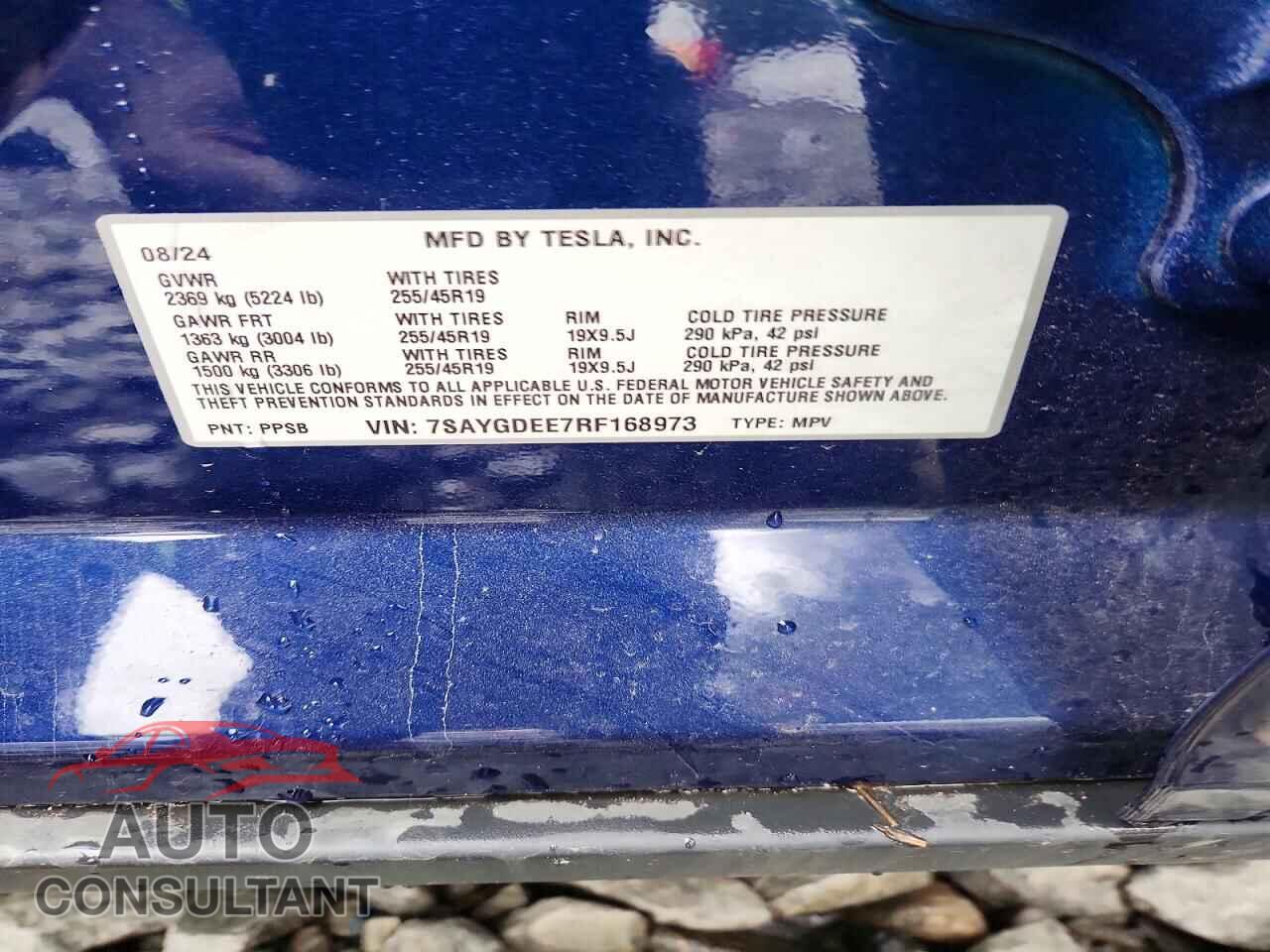 TESLA MODEL Y 2024 - 7SAYGDEE7RF168973