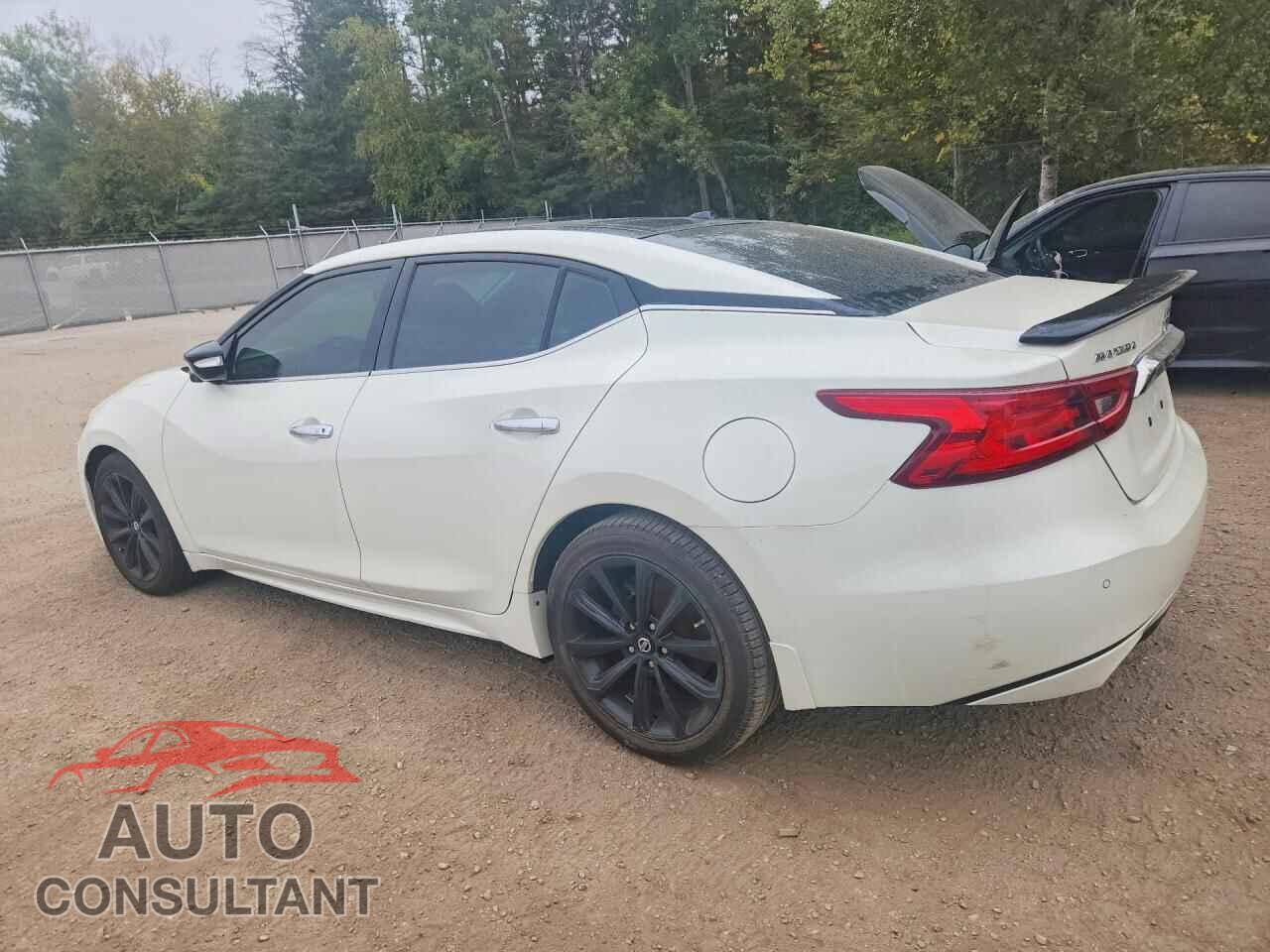 NISSAN MAXIMA 2017 - 1N4AA6AP5HC438058