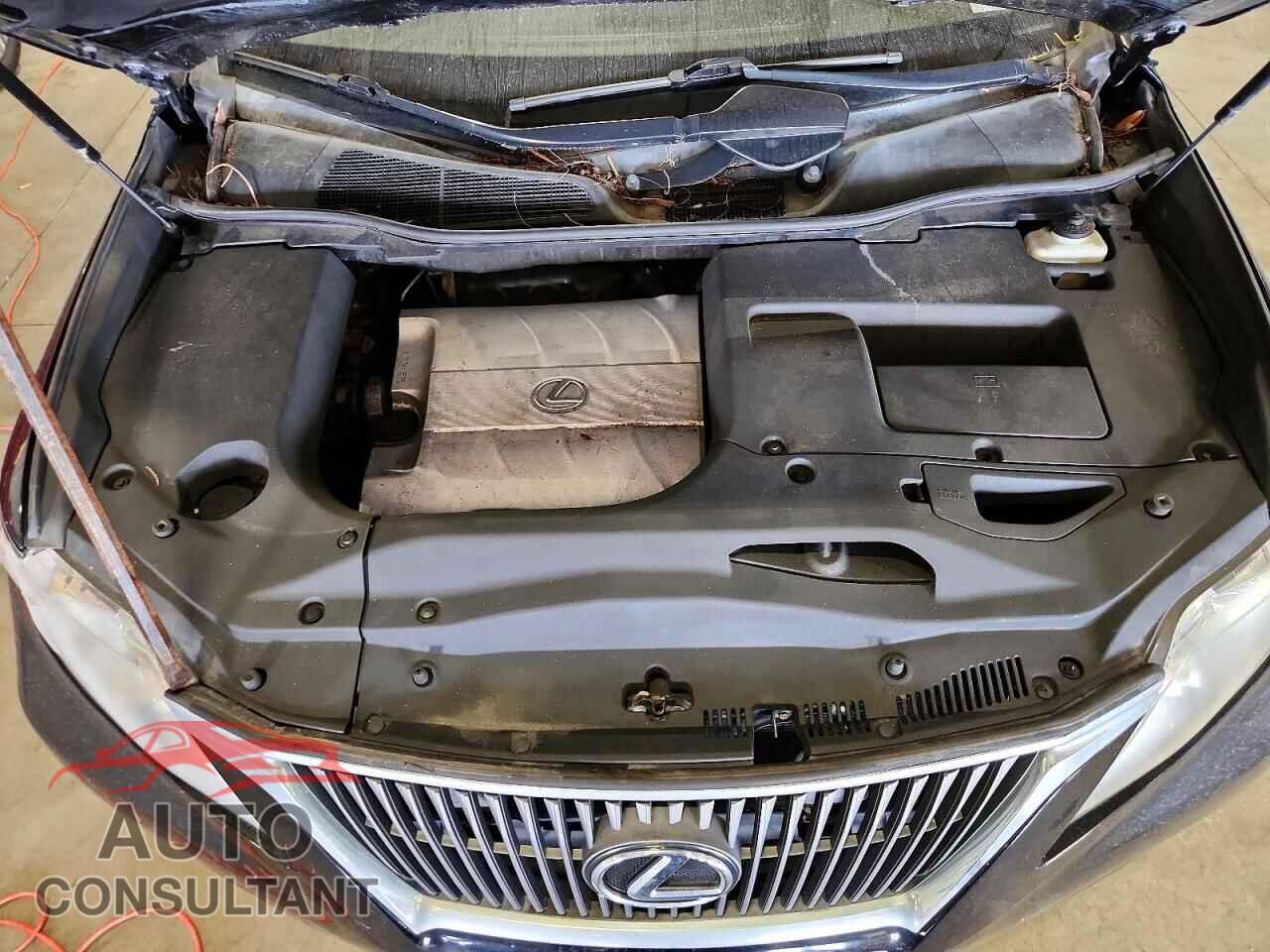 LEXUS RX350 2010 - 2T2BK1BA7AC063355