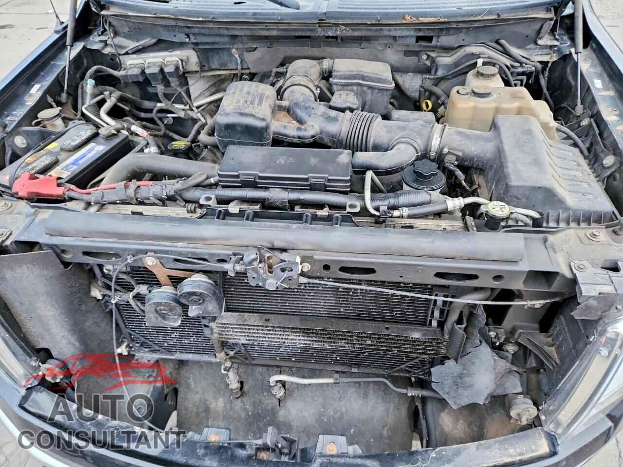 FORD F150 2010 - 1FTFW1EV3AFC92745