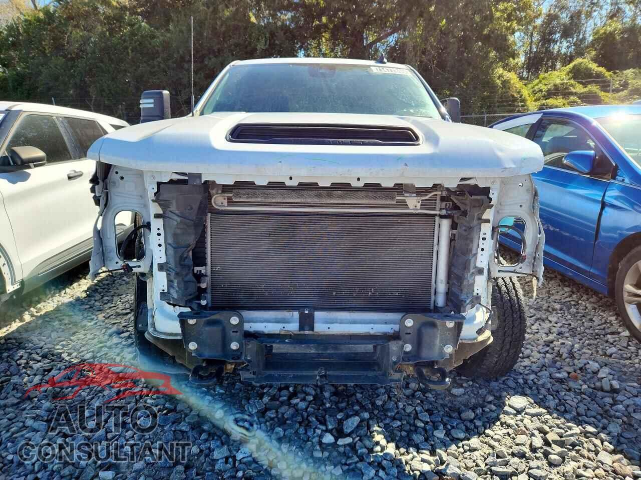 CHEVROLET SILVERADO 2024 - 2GC1YLE74R1205455