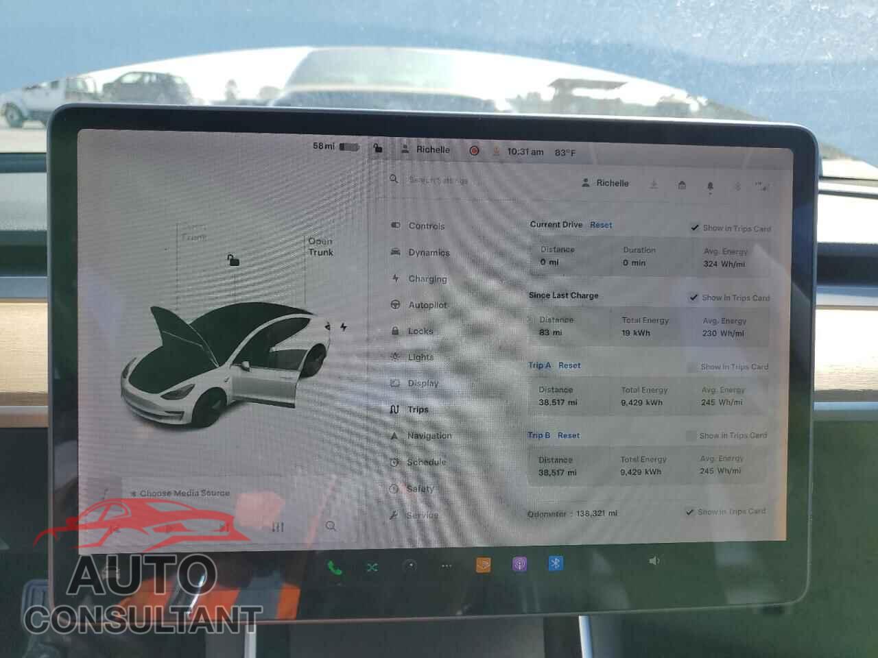 TESLA MODEL 3 2019 - 5YJ3E1EA1KF190529