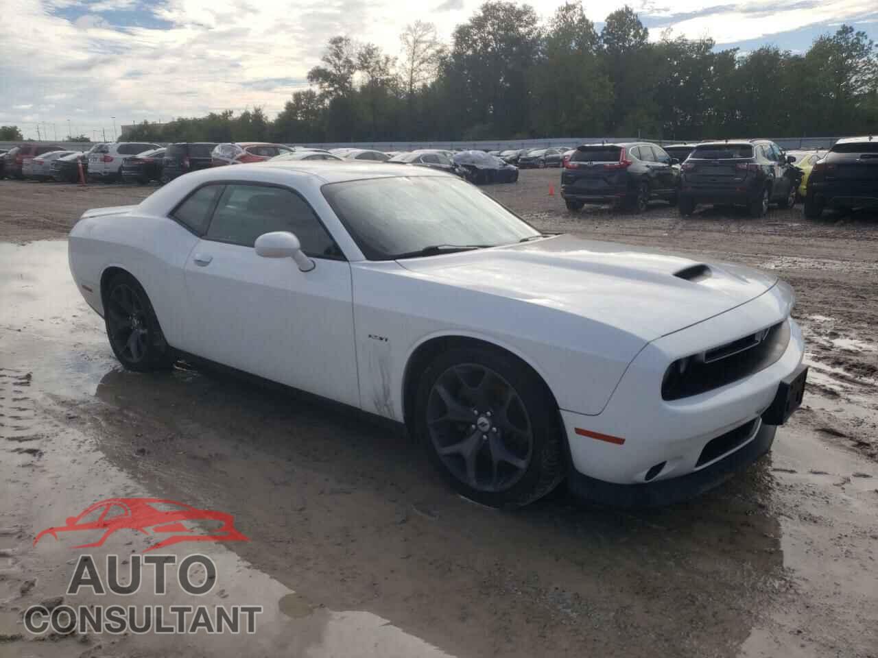 DODGE CHALLENGER 2019 - 2C3CDZBT5KH708440