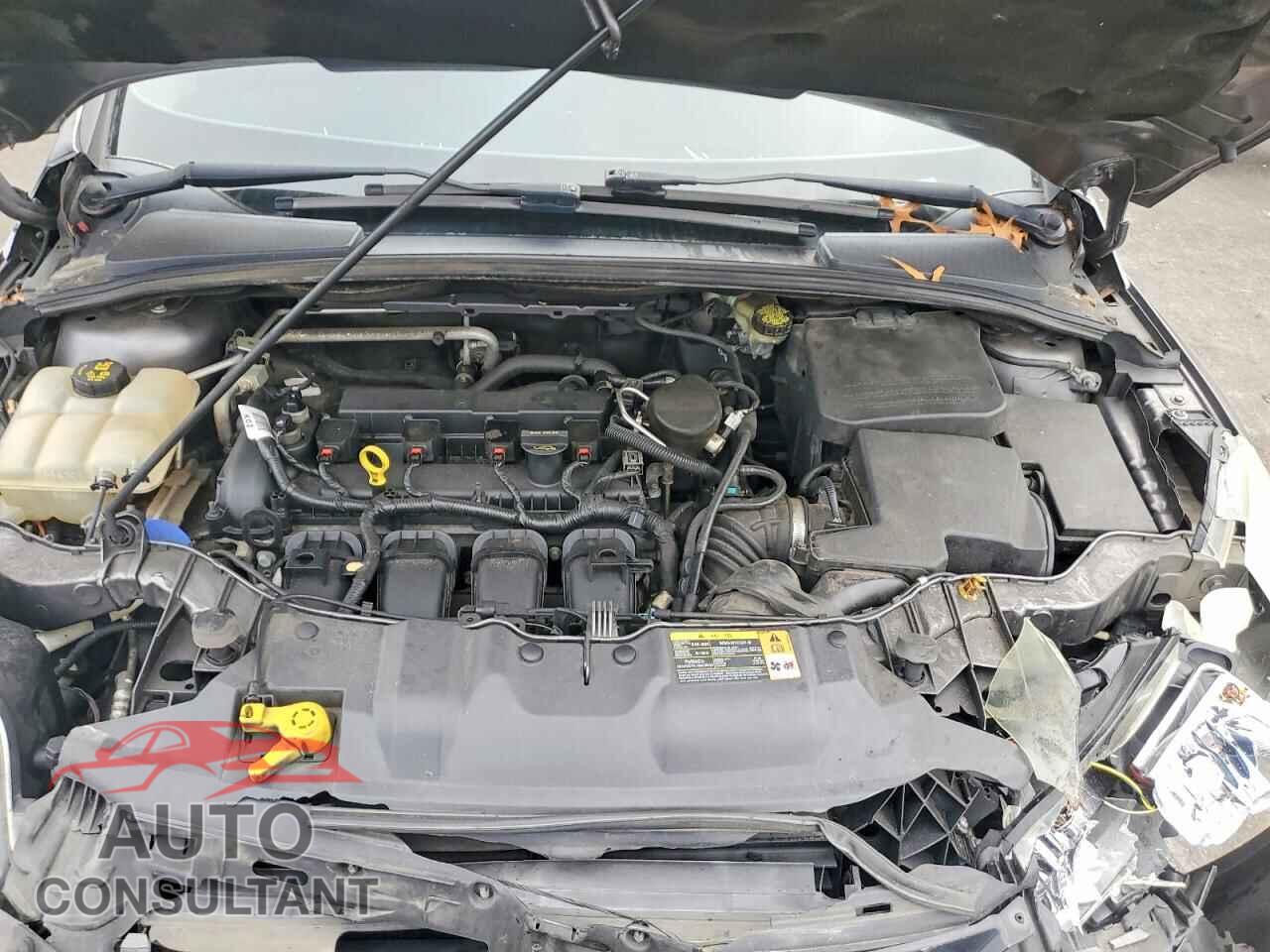FORD FOCUS 2014 - 1FADP3N21EL261982