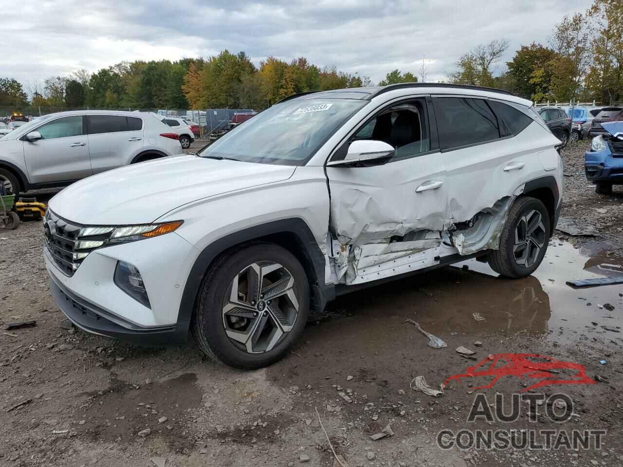 HYUNDAI TUCSON 2022 - 5NMJECAEXNH044046