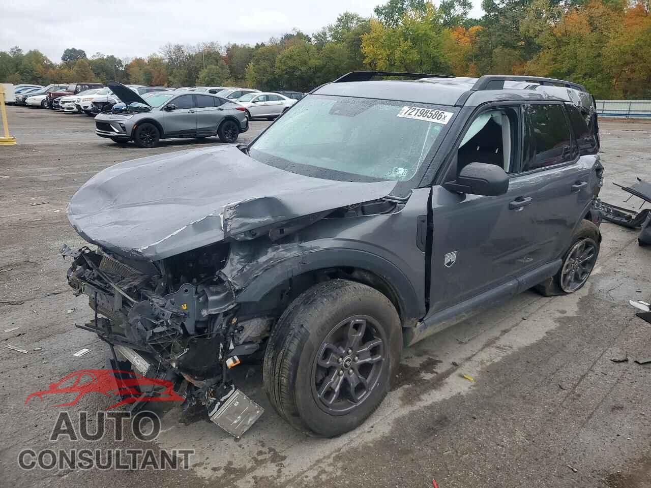 FORD BRONCO 2021 - 3FMCR9B61MRA99230