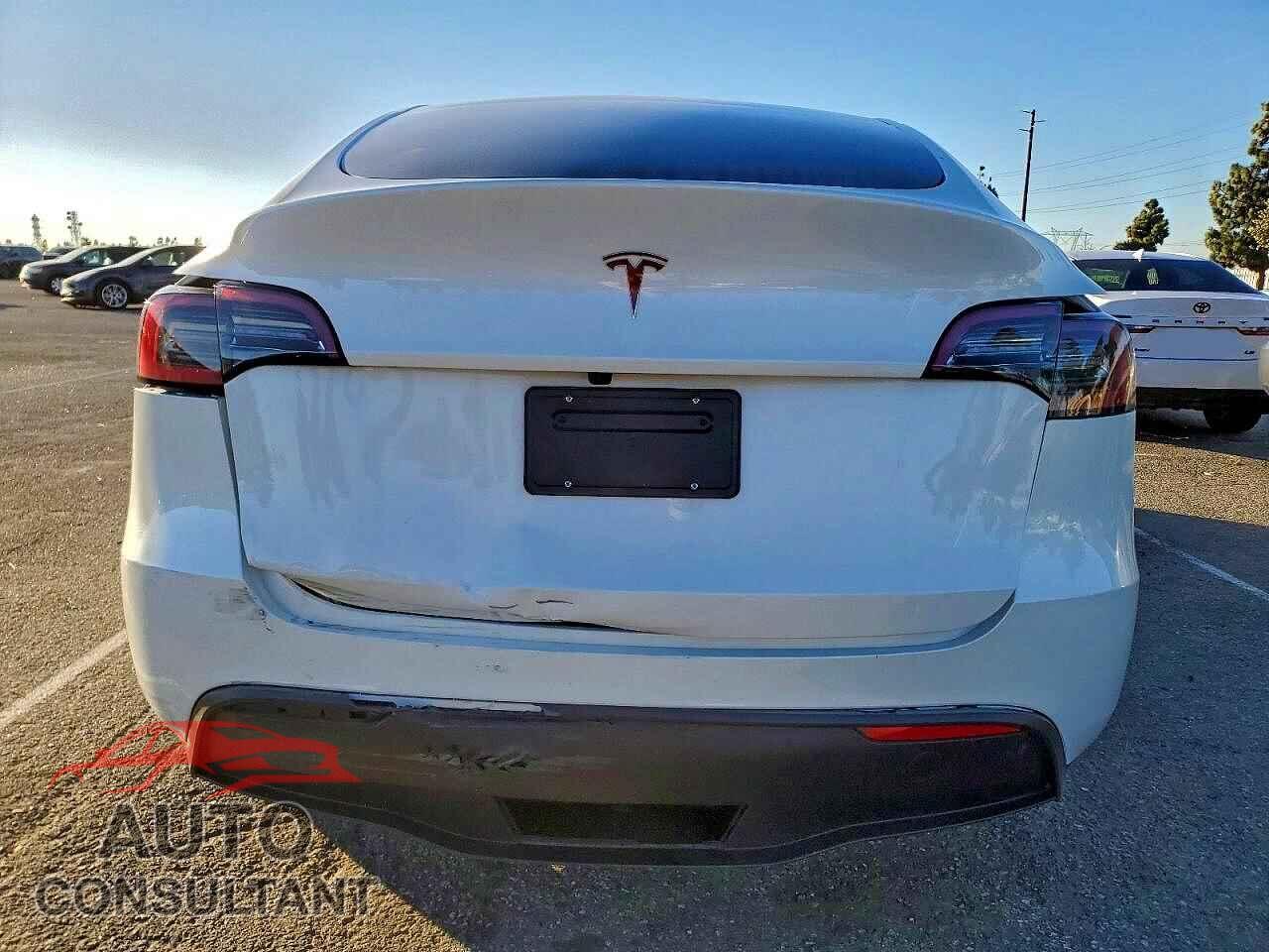 TESLA MODEL Y 2024 - 7SAYGDEE5RF091004