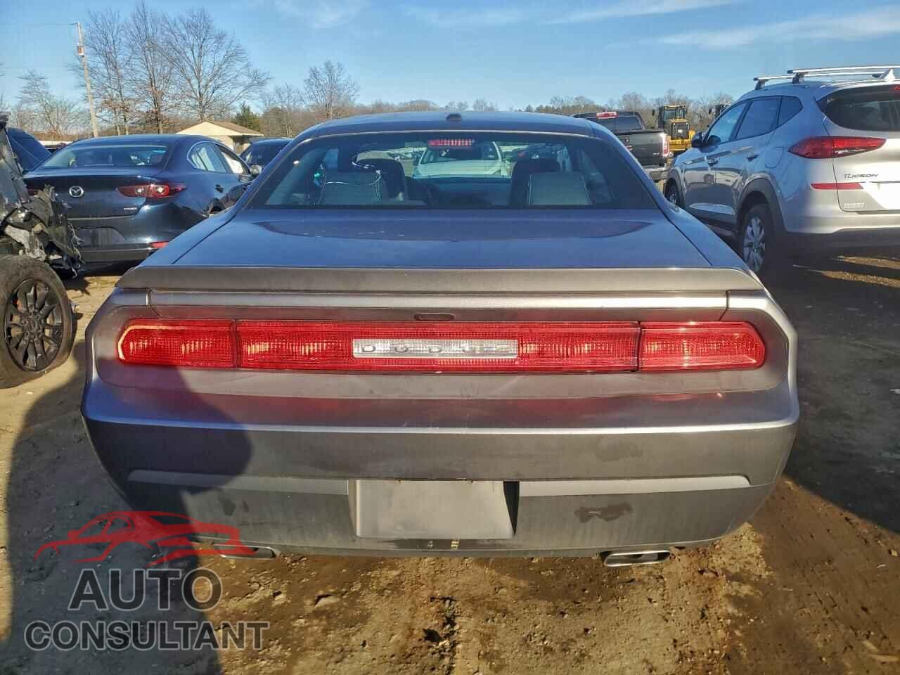 DODGE CHALLENGER 2012 - 2C3CDYBT7CH247026