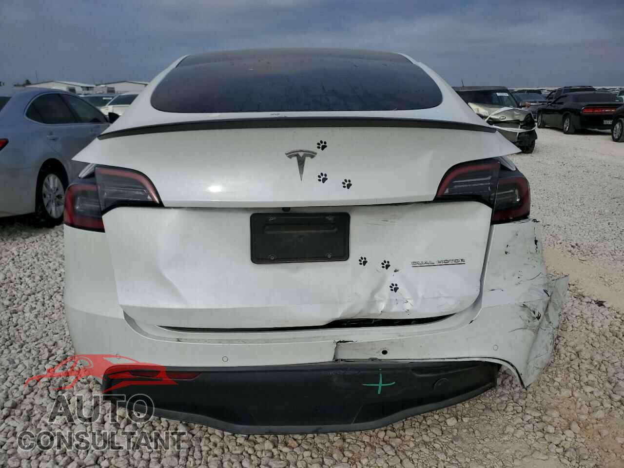 TESLA MODEL Y 2022 - 7SAYGDEF5NF543777