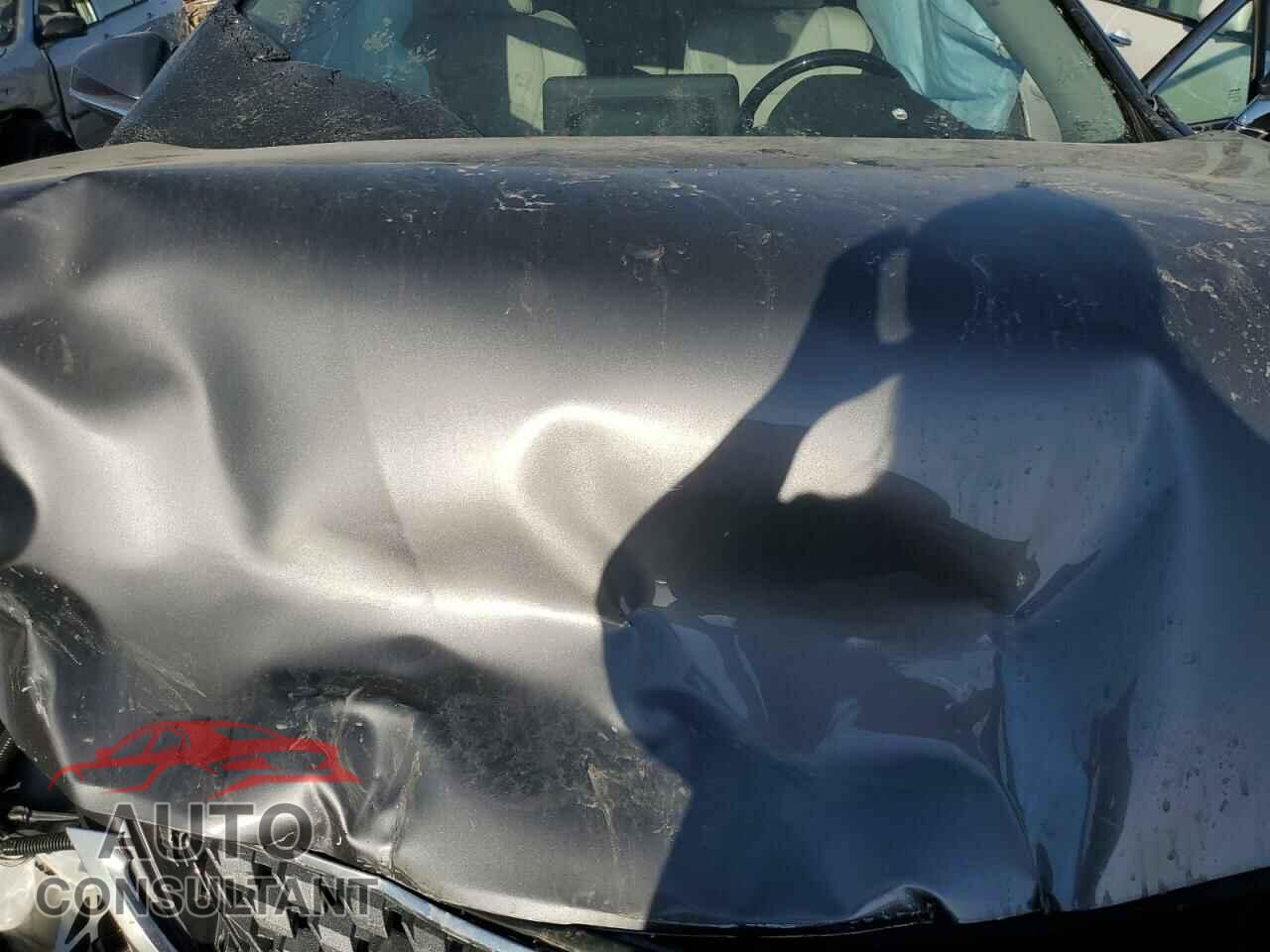 LEXUS RX350 2022 - 2T2JZMDAXNC334887