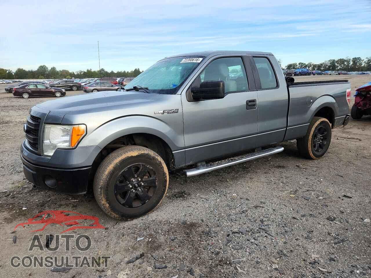 FORD F150 2014 - 1FTFX1EF9EFA66253