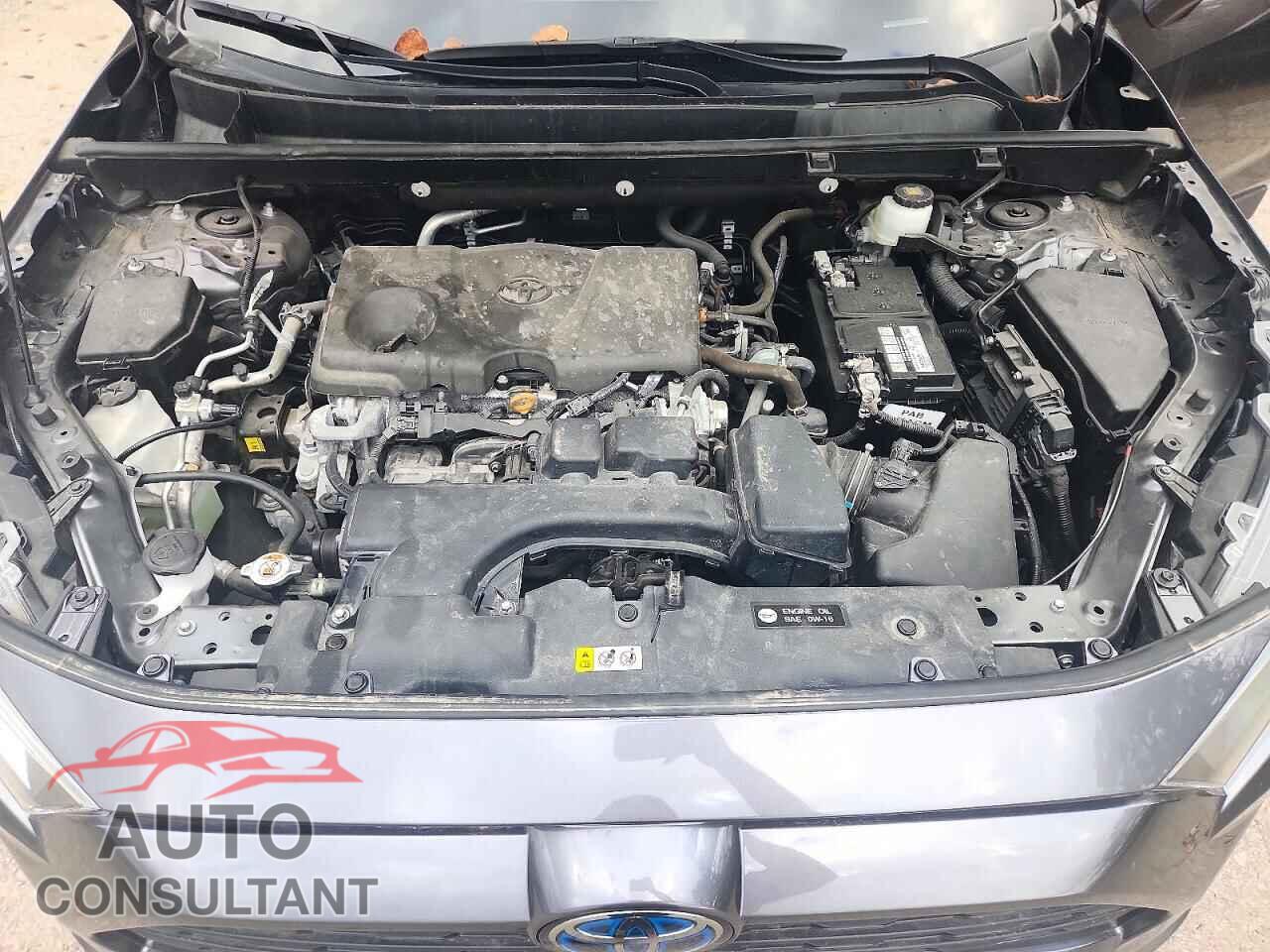 TOYOTA RAV4 2025 - 2T3B1RFV3SC552069