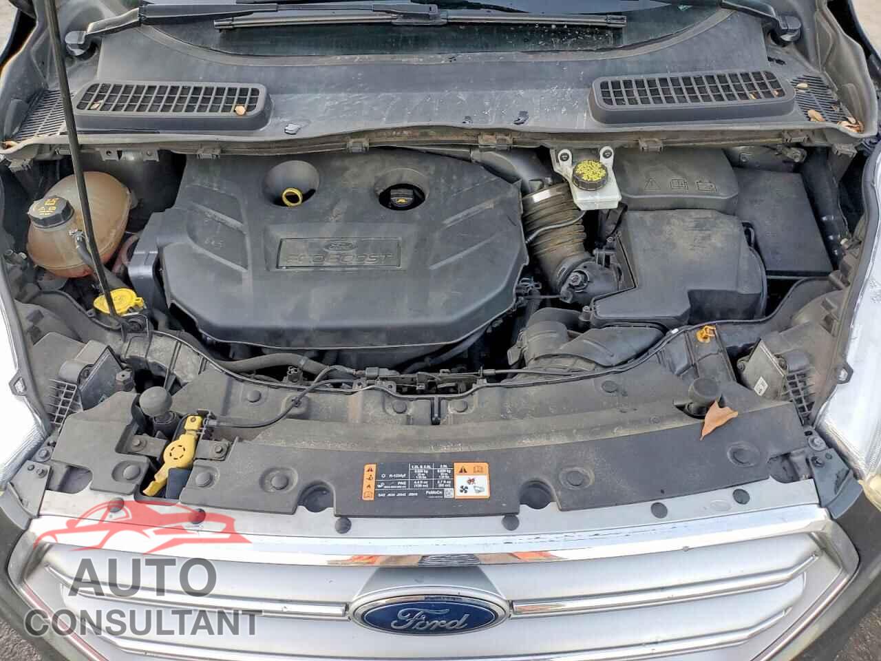 FORD ESCAPE 2017 - 1FMCU9J94HUC12984