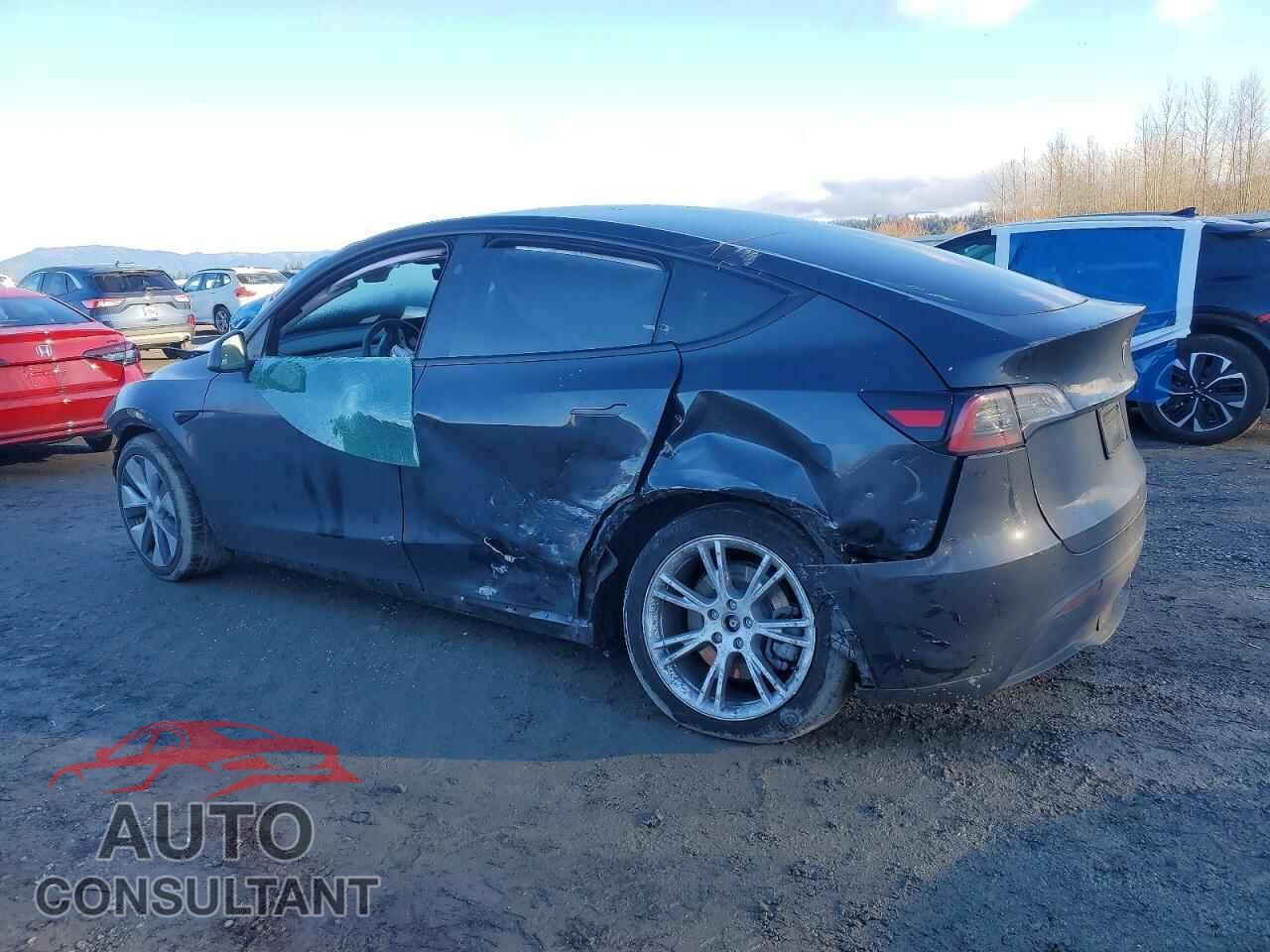 TESLA MODEL Y 2024 - 7SAYGDED3RF053228