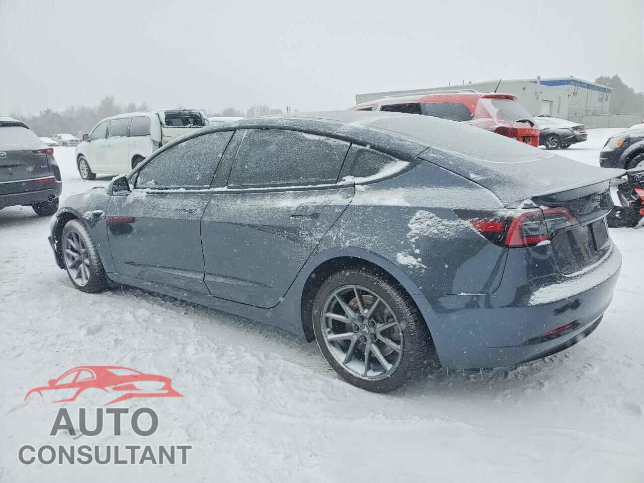 TESLA MODEL 3 2023 - LRW3E1EBXPC851730