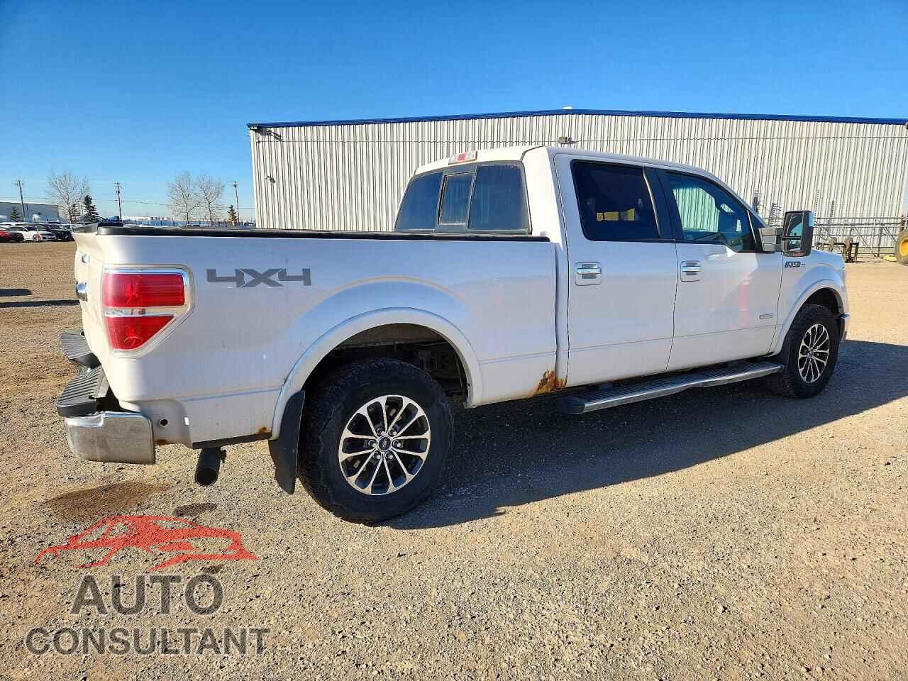 FORD F150 2011 - 1FTFW1ET8BFC41791