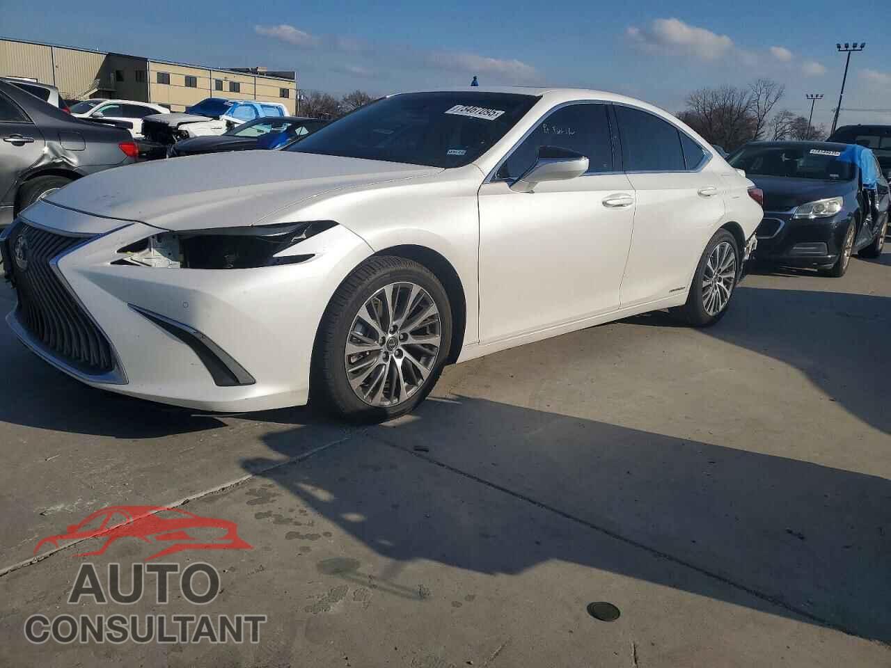 LEXUS ES300 2020 - 58AD21B16LU008001