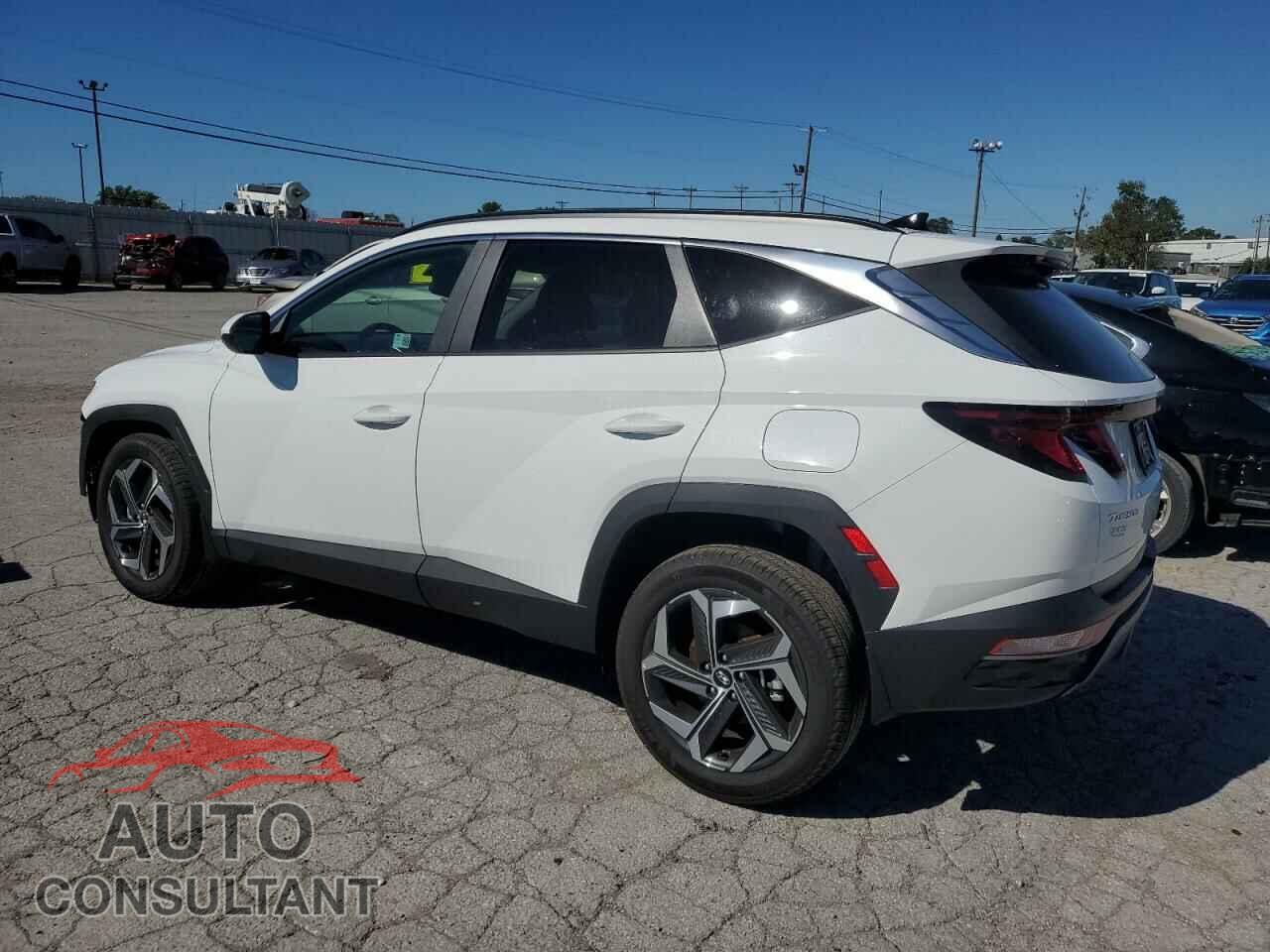 HYUNDAI TUCSON 2024 - 5NMJBCDE4RH421027