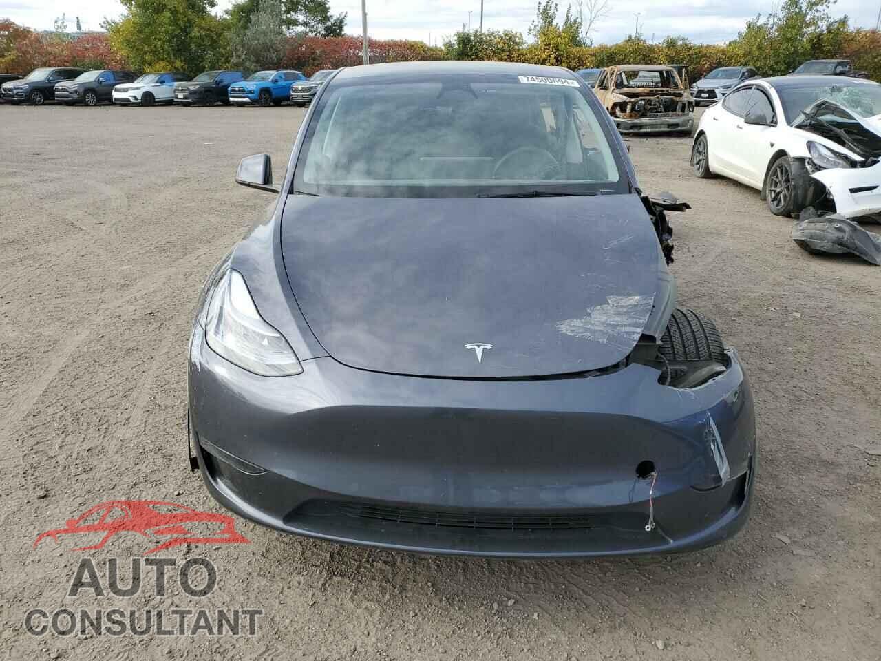 TESLA MODEL Y 2023 - LRWYGDFD1PC221127