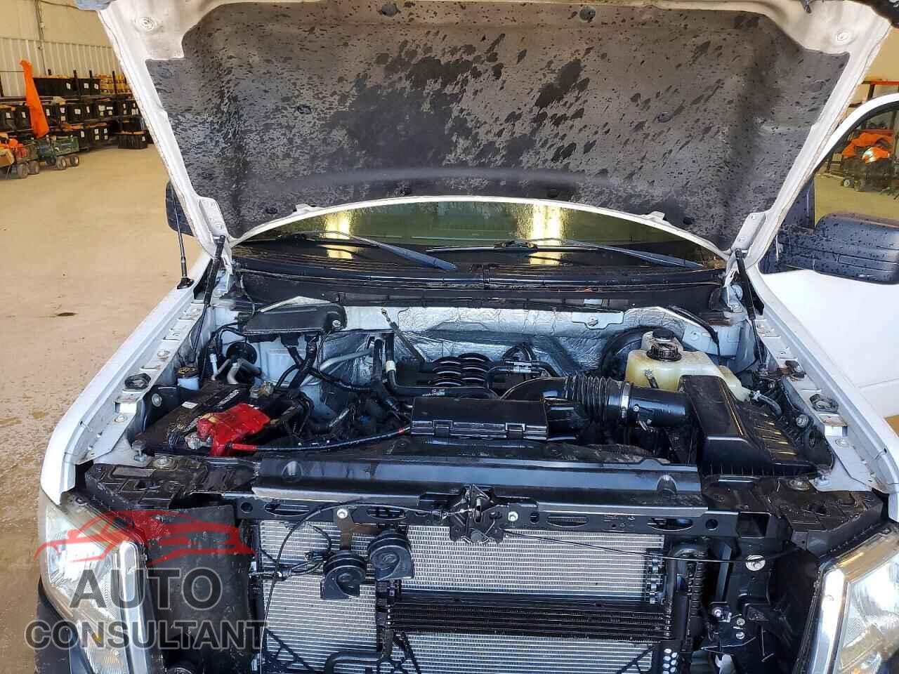 FORD F-150 2011 - 1FTFX1CF6BFC19833