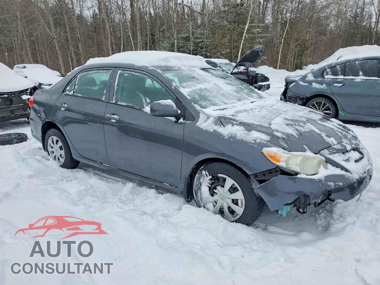 TOYOTA COROLLA 2011 - 2T1BU4EE1BC577010