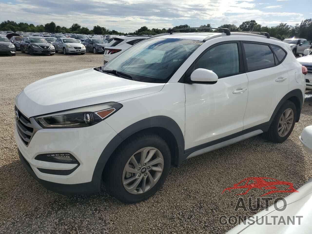 HYUNDAI TUCSON 2017 - KM8J33A41HU466888