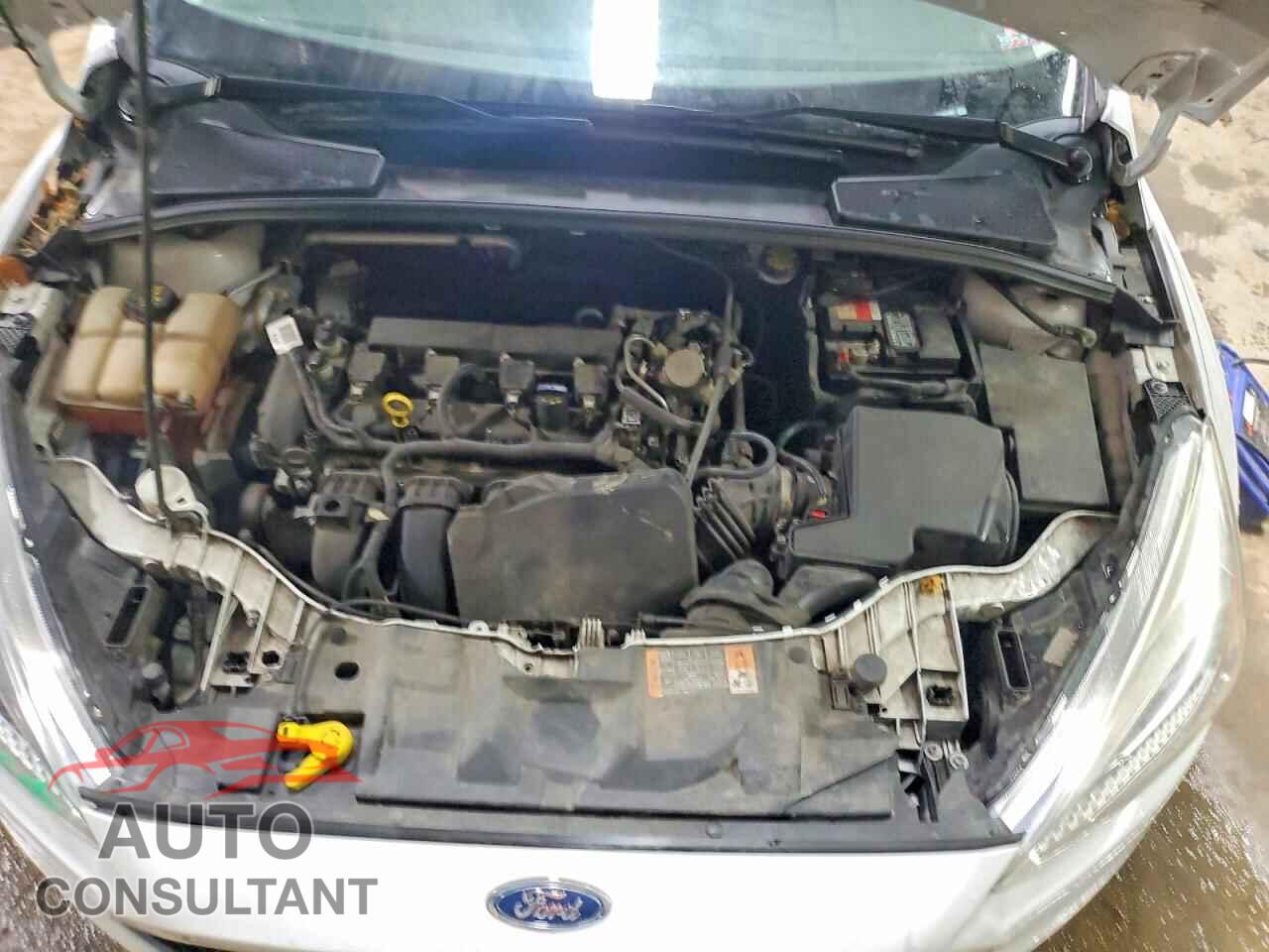 FORD FOCUS 2016 - 1FADP3F26GL377552