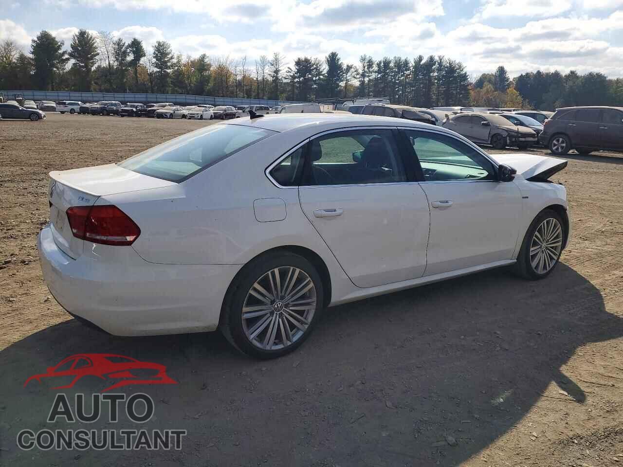 VOLKSWAGEN PASSAT 2014 - 1VWBT7A38EC098909