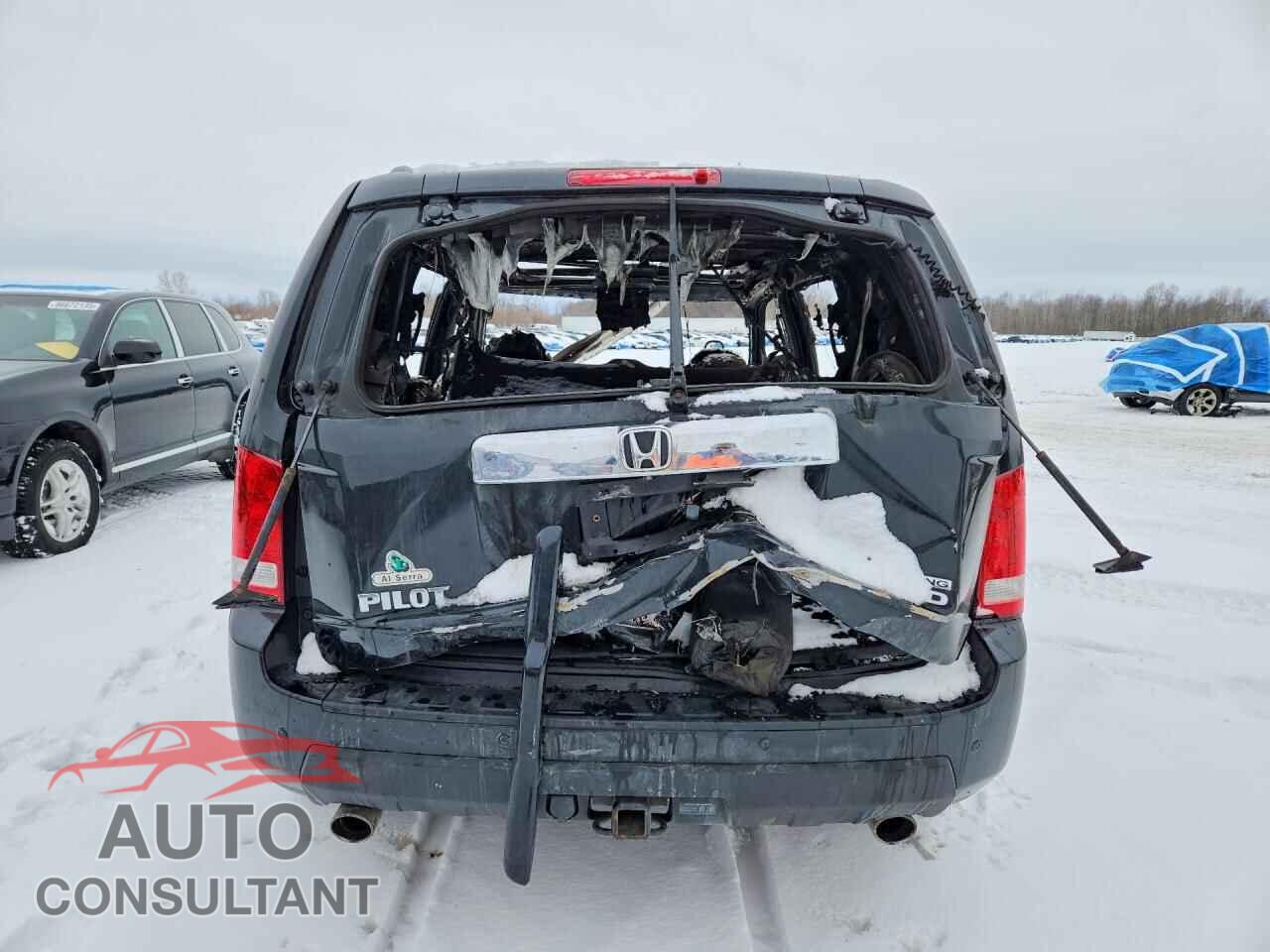 HONDA PILOT 2010 - 5FNYF4H99AB020567