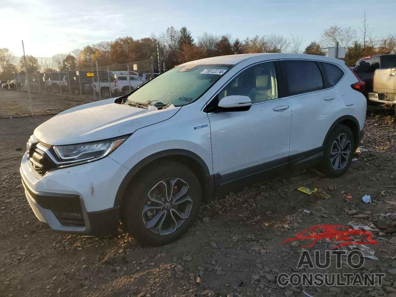 HONDA CRV 2020 - 7FART6H87LE021515