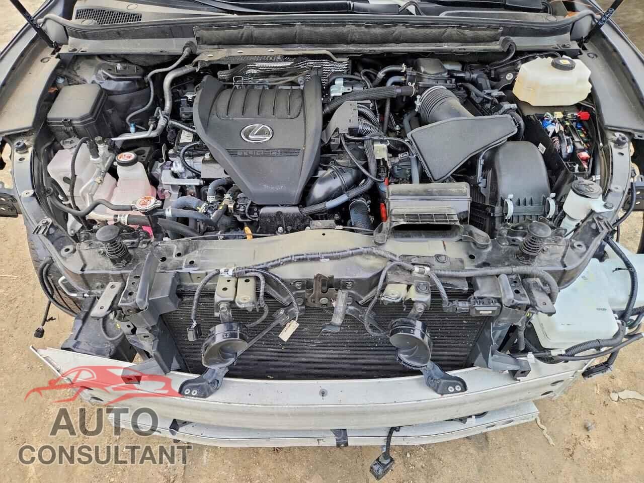 LEXUS RX 500H F 2024 - 2T2BCMEA4RC019237