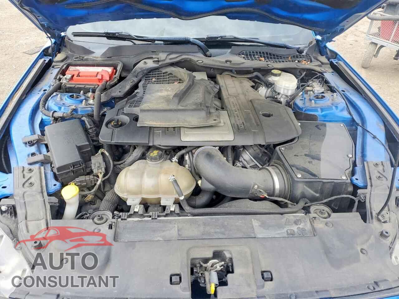 FORD MUSTANG 2019 - 1FA6P8CF2K5129146