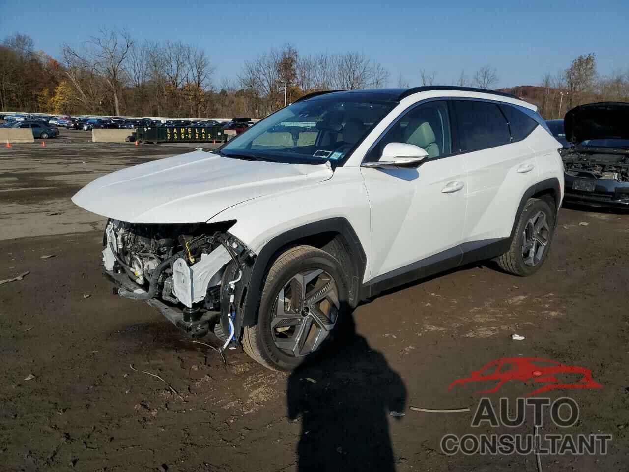 HYUNDAI TUCSON 2024 - 5NMJECDEXRH295036