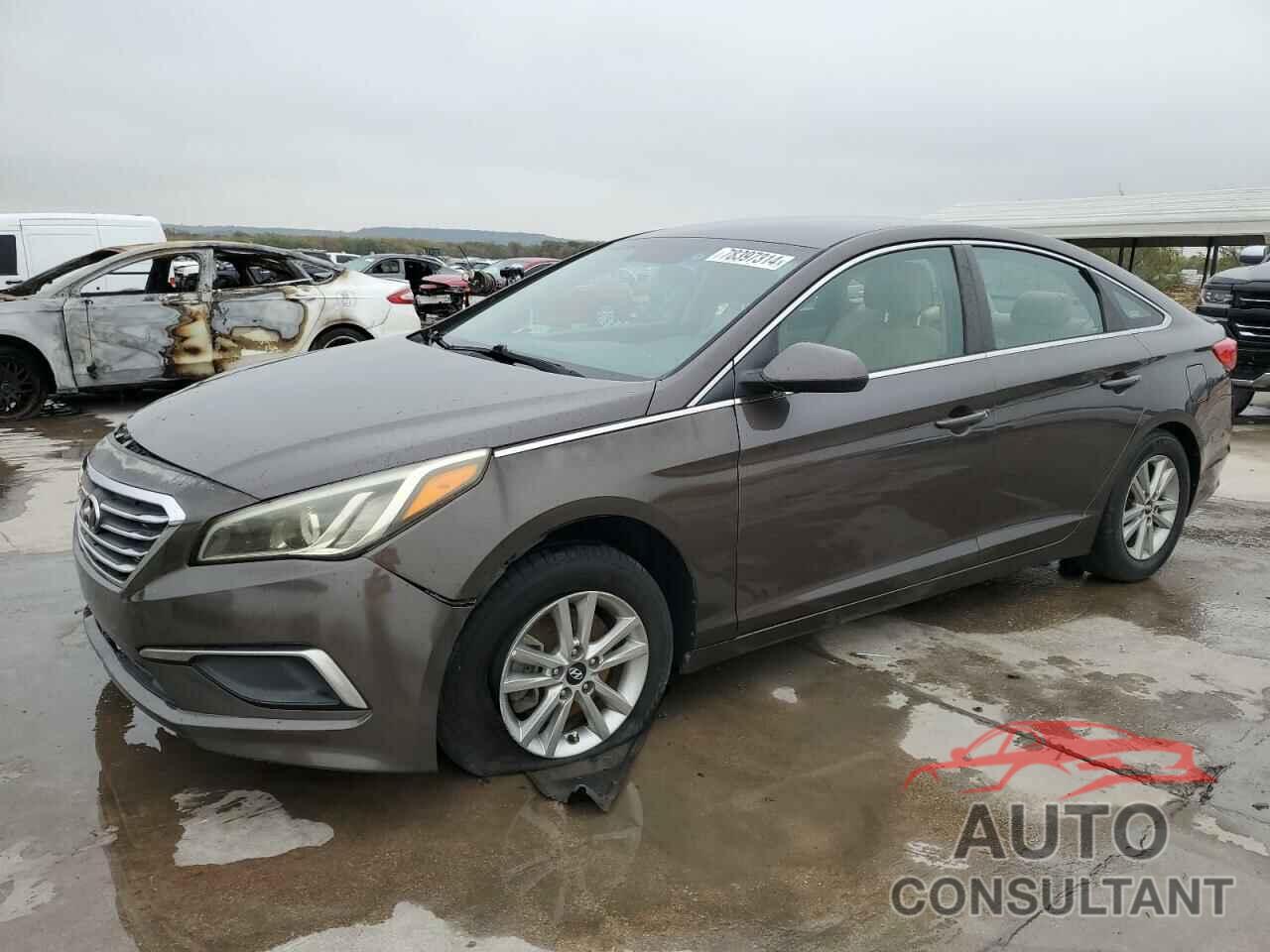 HYUNDAI SONATA 2017 - 5NPE24AF6HH446792