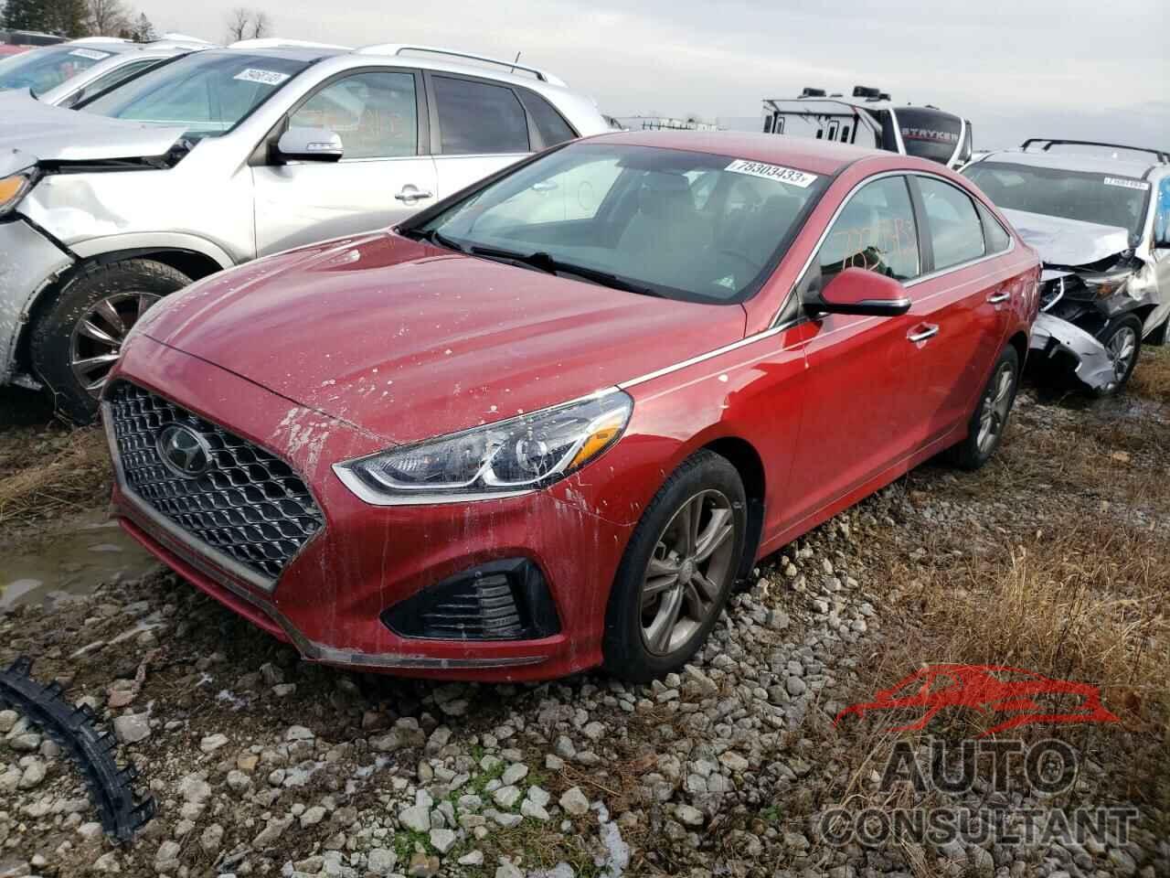 HYUNDAI SONATA 2019 - 5NPE34AF3KH794120