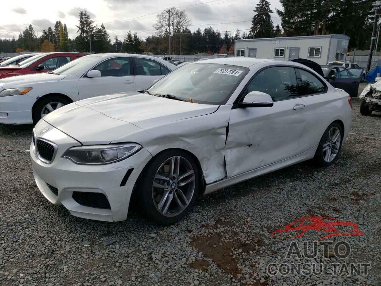 BMW 2 SERIES 2014 - WBA1F5C58EVW97870