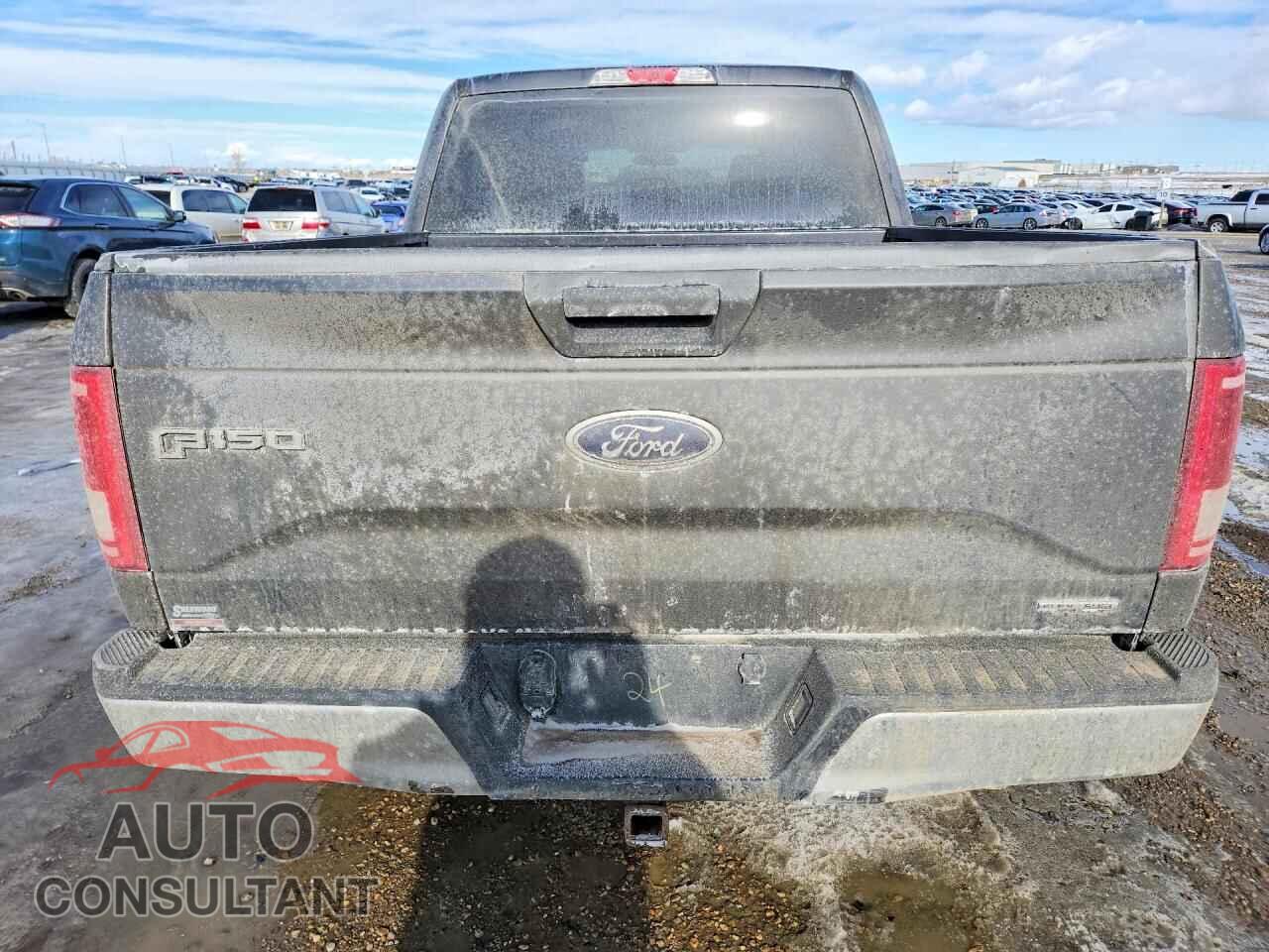 FORD F150 2015 - 1FTEW1EF3FFB93533