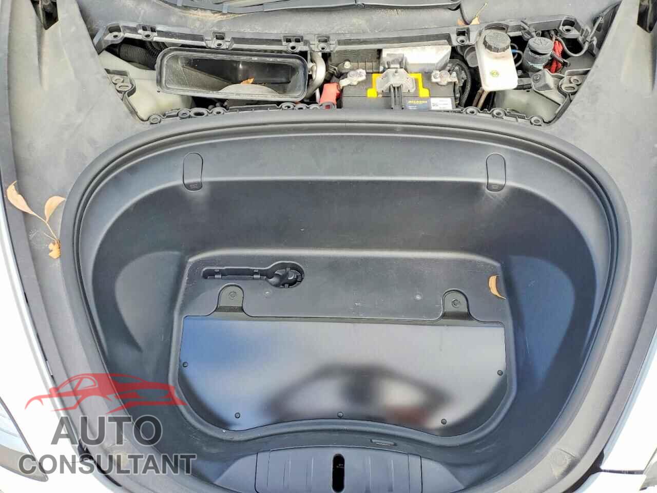 TESLA MODEL 3 2019 - 5YJ3E1EB8KF192318