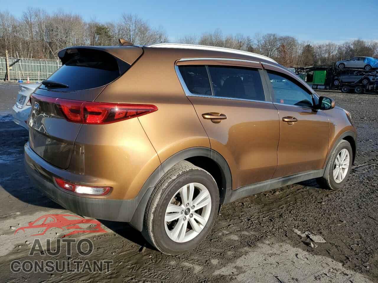 KIA SPORTAGE 2017 - KNDPMCAC3H7101193