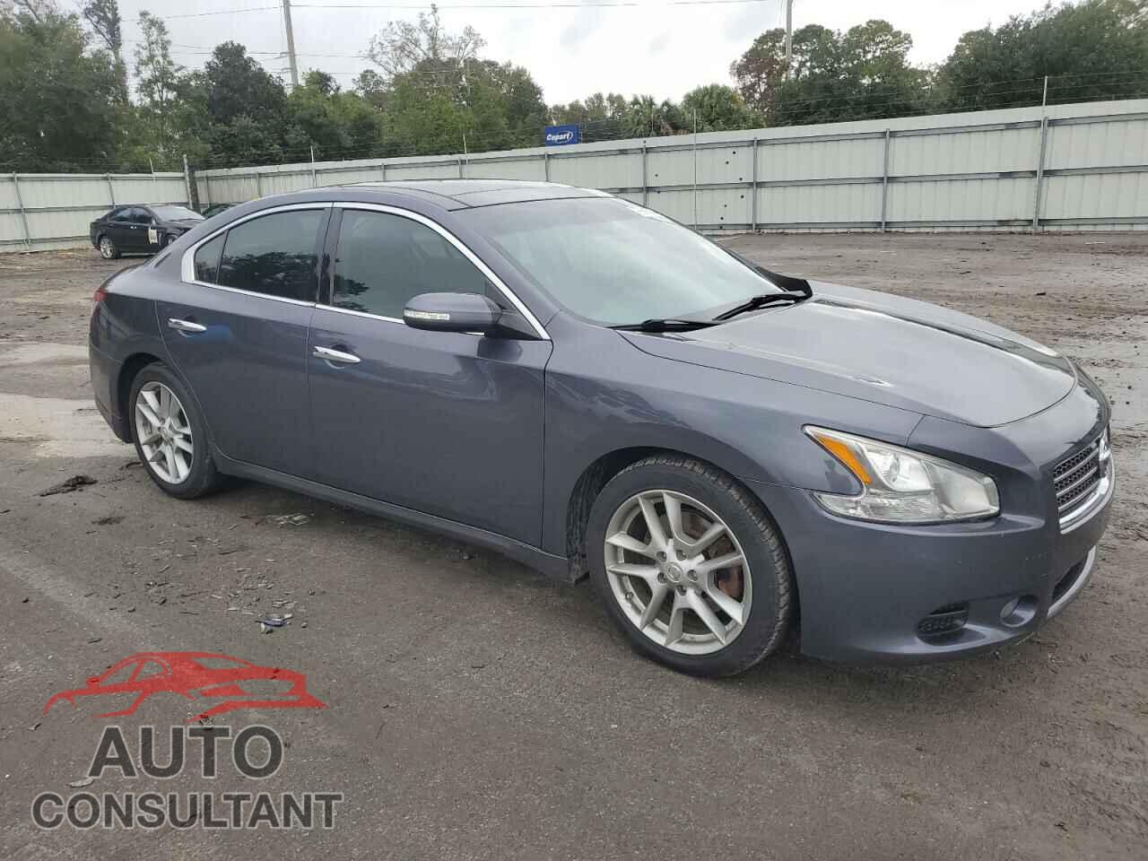 NISSAN MAXIMA 2009 - 1N4AA51E49C828336