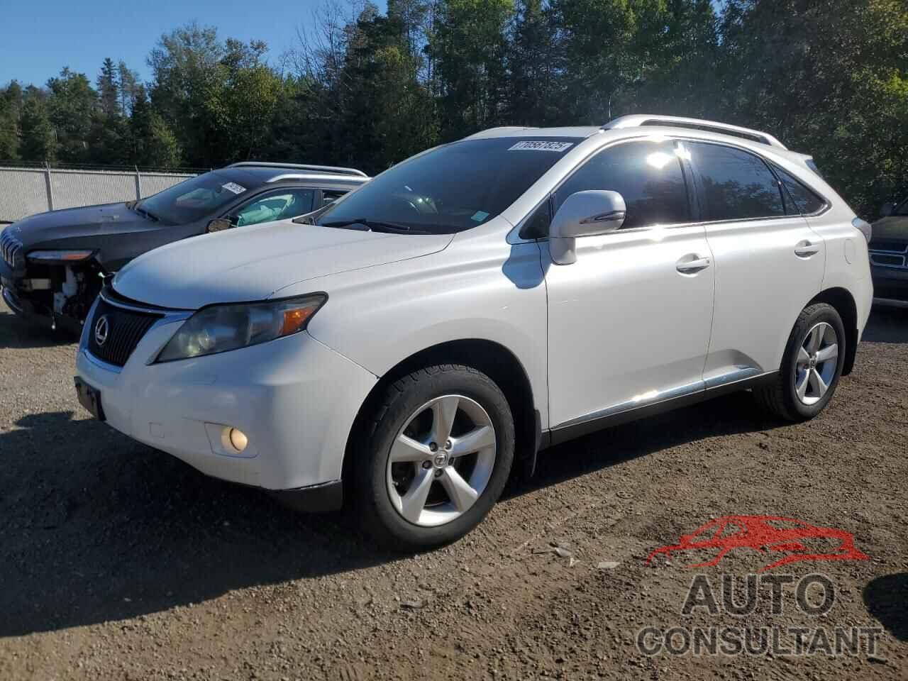 LEXUS RX350 2010 - 2T2BK1BA1AC001384