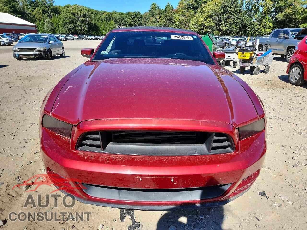 FORD MUSTANG 2014 - 1ZVBP8EM9E5208352