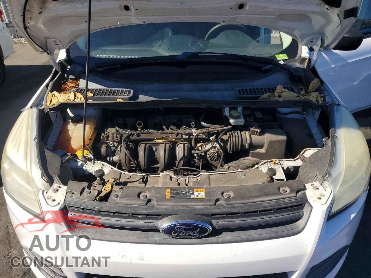 FORD ESCAPE 2013 - 1FMCU0F76DUC16080
