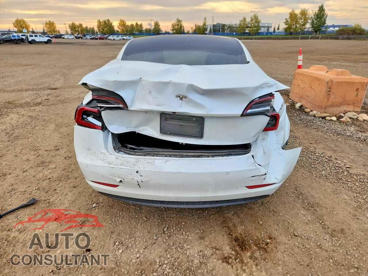 TESLA MODEL 3 2020 - 5YJ3E1EA4LF731929
