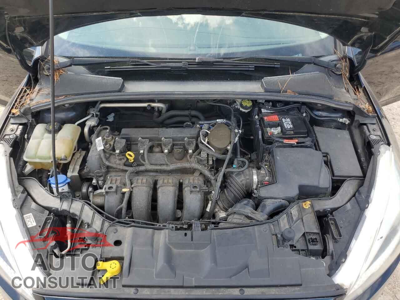 FORD FOCUS 2016 - 1FADP3F22GL223887